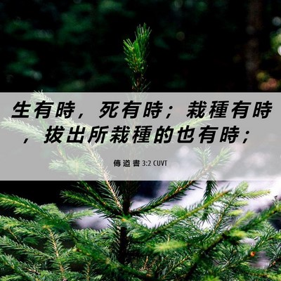 Picture 06 - 傳 道 書 3:2 CUVT - 生 有 時 ， 死 有 時 ； 栽 種 有 時 - Bible Verse Picture