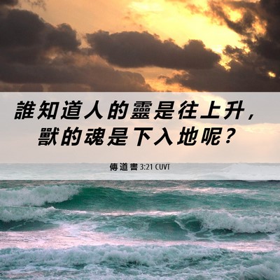 Picture 06 - 傳 道 書 3:21 CUVT - 誰 知 道 人 的 靈 是 往 上 升 ， 獸 - Bible Verse Picture