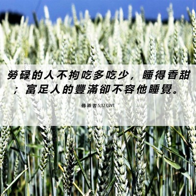 Picture 06 - 傳 道 書 5:12 CUVT - 勞 碌 的 人 不 拘 吃 多 吃 少 ， 睡 - Bible Verse Picture