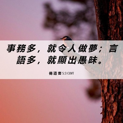 Picture 06 - 傳 道 書 5:3 CUVT - 事 務 多 ， 就 令 人 做 夢 ； 言 語 - Bible Verse Picture