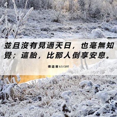 Picture 06 - 傳 道 書 6:5 CUVT - 並 且 沒 有 見 過 天 日 ， 也 毫 無 - Bible Verse Picture