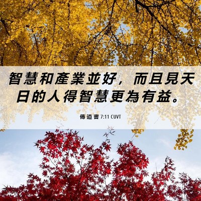 Picture 06 - 傳 道 書 7:11 CUVT - 智 慧 和 產 業 並 好 ， 而 且 見 天 - Bible Verse Picture