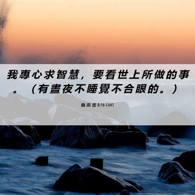 Picture 06 - 傳 道 書 8:16 CUVT - 我 專 心 求 智 慧 ， 要 看 世 上 所 - Bible Verse Picture