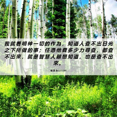 Picture 06 - 傳 道 書 8:17 CUVT - 我 就 看 明 神 一 切 的 作 為 ， 知 - Bible Verse Picture