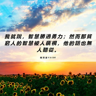 Picture 06 - 傳 道 書 9:16 CUVT - 我 就 說 ， 智 慧 勝 過 勇 力 ； 然 - Bible Verse Picture