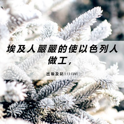 Picture 06 - 出 埃 及 記 1:13 CUVT - 埃 及 人 嚴 嚴 的 使 以 色 列 人 做 - Bible Verse Picture