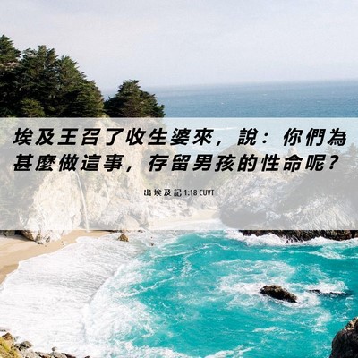 Picture 06 - 出 埃 及 記 1:18 CUVT - 埃 及 王 召 了 收 生 婆 來 ， 說 ： - Bible Verse Picture