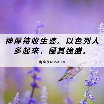 Picture 06 - 出 埃 及 記 1:20 CUVT - 神 厚 待 收 生 婆 。 以 色 列 人 多 - Bible Verse Picture