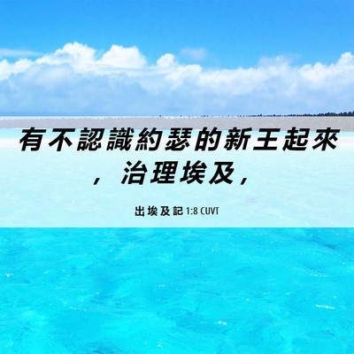 Picture 06 - 出 埃 及 記 1:8 CUVT - 有 不 認 識 約 瑟 的 新 王 起 來 ， - Bible Verse Picture