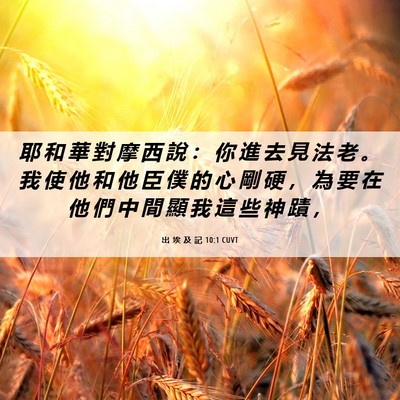 Picture 06 - 出 埃 及 記 10:1 CUVT - 耶 和 華 對 摩 西 說 ： 你 進 去 見 - Bible Verse Picture