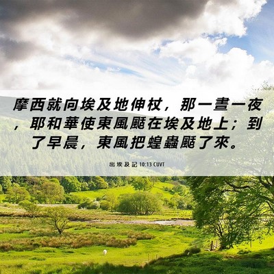Picture 06 - 出 埃 及 記 10:13 CUVT - 摩 西 就 向 埃 及 地 伸 杖 ， 那 一 - Bible Verse Picture
