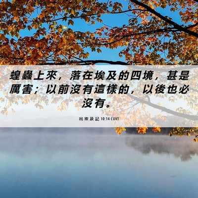 Picture 06 - 出 埃 及 記 10:14 CUVT - 蝗 蟲 上 來 ， 落 在 埃 及 的 四 境 - Bible Verse Picture