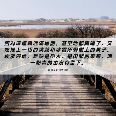 Picture 06 - 出 埃 及 記 10:15 CUVT - 因 為 這 蝗 蟲 遮 滿 地 面 ， 甚 至 - Bible Verse Picture