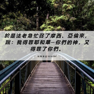 Picture 06 - 出 埃 及 記 10:16 CUVT - 於 是 法 老 急 忙 召 了 摩 西 、 亞 - Bible Verse Picture