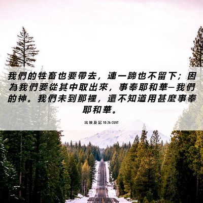 Picture 06 - 出 埃 及 記 10:26 CUVT - 我 們 的 牲 畜 也 要 帶 去 ， 連 一 - Bible Verse Picture