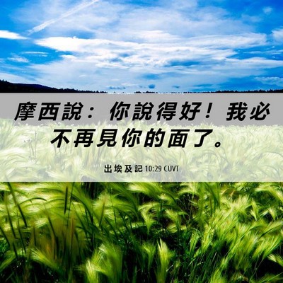 Picture 06 - 出 埃 及 記 10:29 CUVT - 摩 西 說 ： 你 說 得 好 ！ 我 必 不 - Bible Verse Picture