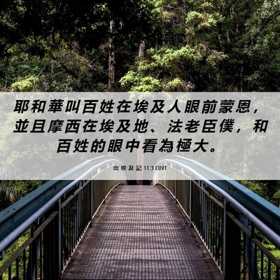 Picture 06 - 出 埃 及 記 11:3 CUVT - 耶 和 華 叫 百 姓 在 埃 及 人 眼 前 - Bible Verse Picture