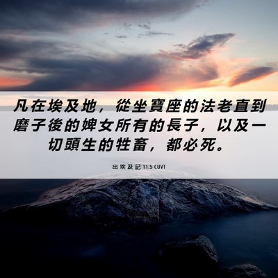 Picture 06 - 出 埃 及 記 11:5 CUVT - 凡 在 埃 及 地 ， 從 坐 寶 座 的 法 - Bible Verse Picture