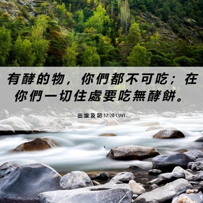 Picture 06 - 出 埃 及 記 12:20 CUVT - 有 酵 的 物 ， 你 們 都 不 可 吃 ； - Bible Verse Picture