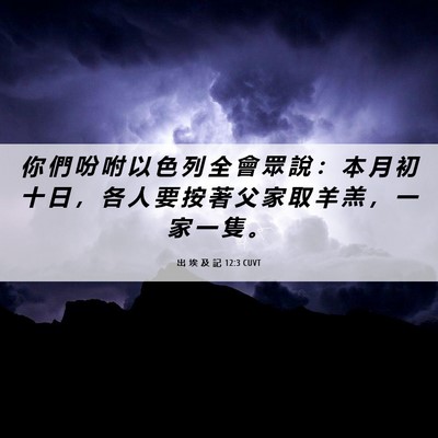 Picture 06 - 出 埃 及 記 12:3 CUVT - 你 們 吩 咐 以 色 列 全 會 眾 說 ： - Bible Verse Picture