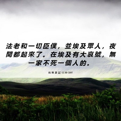 Picture 06 - 出 埃 及 記 12:30 CUVT - 法 老 和 一 切 臣 僕 ， 並 埃 及 眾 - Bible Verse Picture