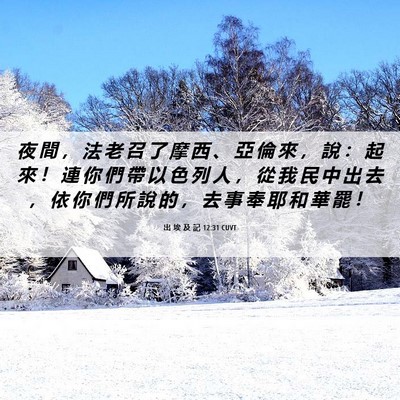 Picture 06 - 出 埃 及 記 12:31 CUVT - 夜 間 ， 法 老 召 了 摩 西 、 亞 倫 - Bible Verse Picture