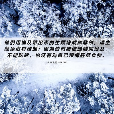 Picture 06 - 出 埃 及 記 12:39 CUVT - 他 們 用 埃 及 帶 出 來 的 生 麵 烤 - Bible Verse Picture