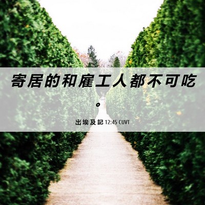 Picture 06 - 出 埃 及 記 12:45 CUVT - 寄 居 的 和 雇 工 人 都 不 可 吃 - Bible Verse Picture