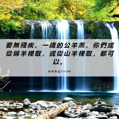 Picture 06 - 出 埃 及 記 12:5 CUVT - 要 無 殘 疾 、 一 歲 的 公 羊 羔 ， - Bible Verse Picture