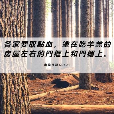 Picture 06 - 出 埃 及 記 12:7 CUVT - 各 家 要 取 點 血 ， 塗 在 吃 羊 羔 - Bible Verse Picture