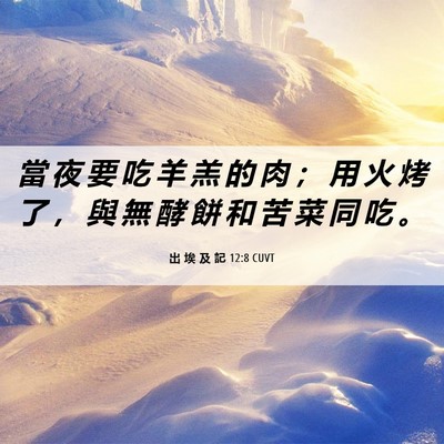 Picture 06 - 出 埃 及 記 12:8 CUVT - 當 夜 要 吃 羊 羔 的 肉 ； 用 火 烤 - Bible Verse Picture