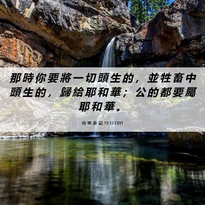 Picture 06 - 出 埃 及 記 13:12 CUVT - 那 時 你 要 將 一 切 頭 生 的 ， 並 - Bible Verse Picture