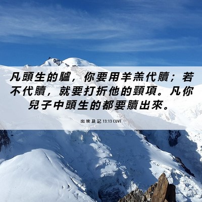 Picture 06 - 出 埃 及 記 13:13 CUVT - 凡 頭 生 的 驢 ， 你 要 用 羊 羔 代 - Bible Verse Picture
