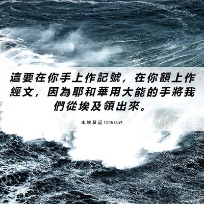Picture 06 - 出 埃 及 記 13:16 CUVT - 這 要 在 你 手 上 作 記 號 ， 在 你 - Bible Verse Picture