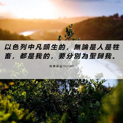 Picture 06 - 出 埃 及 記 13:2 CUVT - 以 色 列 中 凡 頭 生 的 ， 無 論 是 - Bible Verse Picture
