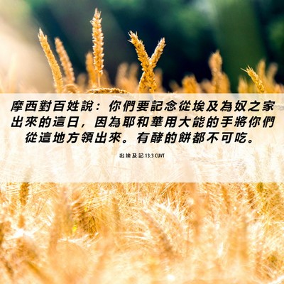 Picture 06 - 出 埃 及 記 13:3 CUVT - 摩 西 對 百 姓 說 ： 你 們 要 記 念 - Bible Verse Picture