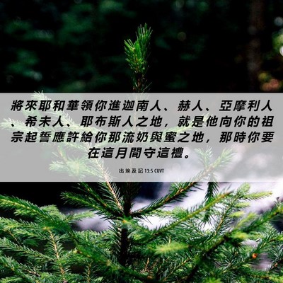 Picture 06 - 出 埃 及 記 13:5 CUVT - 將 來 耶 和 華 領 你 進 迦 南 人 、 - Bible Verse Picture