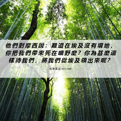 Picture 06 - 出 埃 及 記 14:11 CUVT - 他 們 對 摩 西 說 ： 難 道 在 埃 及 - Bible Verse Picture