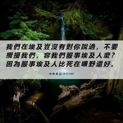 Picture 06 - 出 埃 及 記 14:12 CUVT - 我 們 在 埃 及 豈 沒 有 對 你 說 過 - Bible Verse Picture