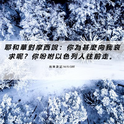 Picture 06 - 出 埃 及 記 14:15 CUVT - 耶 和 華 對 摩 西 說 ： 你 為 甚 麼 - Bible Verse Picture
