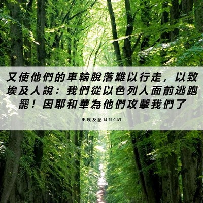 Picture 06 - 出 埃 及 記 14:25 CUVT - 又 使 他 們 的 車 輪 脫 落 難 以 行 - Bible Verse Picture
