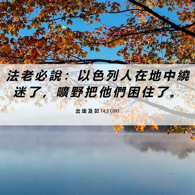 Picture 06 - 出 埃 及 記 14:3 CUVT - 法 老 必 說 ： 以 色 列 人 在 地 中 - Bible Verse Picture
