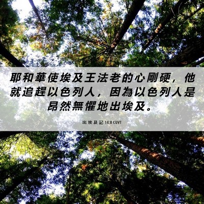Picture 06 - 出 埃 及 記 14:8 CUVT - 耶 和 華 使 埃 及 王 法 老 的 心 剛 - Bible Verse Picture