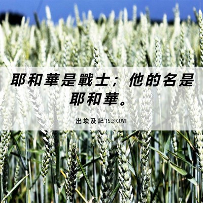 Picture 06 - 出 埃 及 記 15:3 CUVT - 耶 和 華 是 戰 士 ； 他 的 名 是 耶 - Bible Verse Picture