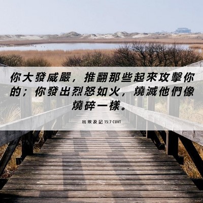 Picture 06 - 出 埃 及 記 15:7 CUVT - 你 大 發 威 嚴 ， 推 翻 那 些 起 來 - Bible Verse Picture