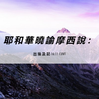 Picture 06 - 出 埃 及 記 16:11 CUVT - 耶 和 華 曉 諭 摩 西 說 - Bible Verse Picture