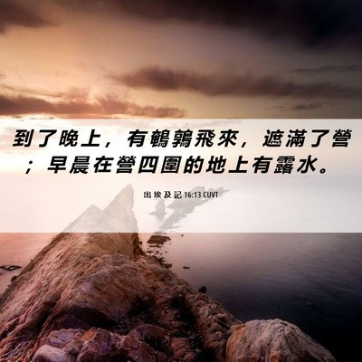 Picture 06 - 出 埃 及 記 16:13 CUVT - 到 了 晚 上 ， 有 鵪 鶉 飛 來 ， 遮 - Bible Verse Picture