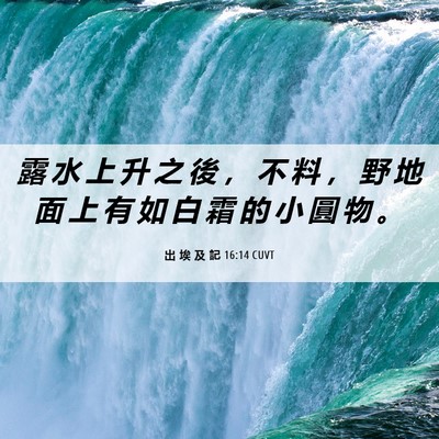 Picture 06 - 出 埃 及 記 16:14 CUVT - 露 水 上 升 之 後 ， 不 料 ， 野 地 - Bible Verse Picture