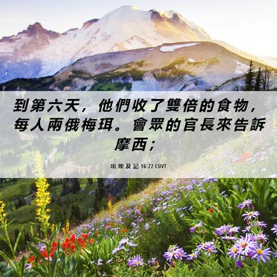 Picture 06 - 出 埃 及 記 16:22 CUVT - 到 第 六 天 ， 他 們 收 了 雙 倍 的 - Bible Verse Picture
