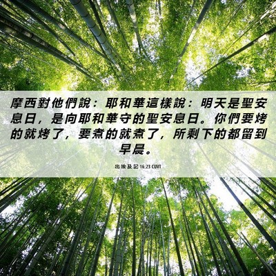 Picture 06 - 出 埃 及 記 16:23 CUVT - 摩 西 對 他 們 說 ： 耶 和 華 這 樣 - Bible Verse Picture